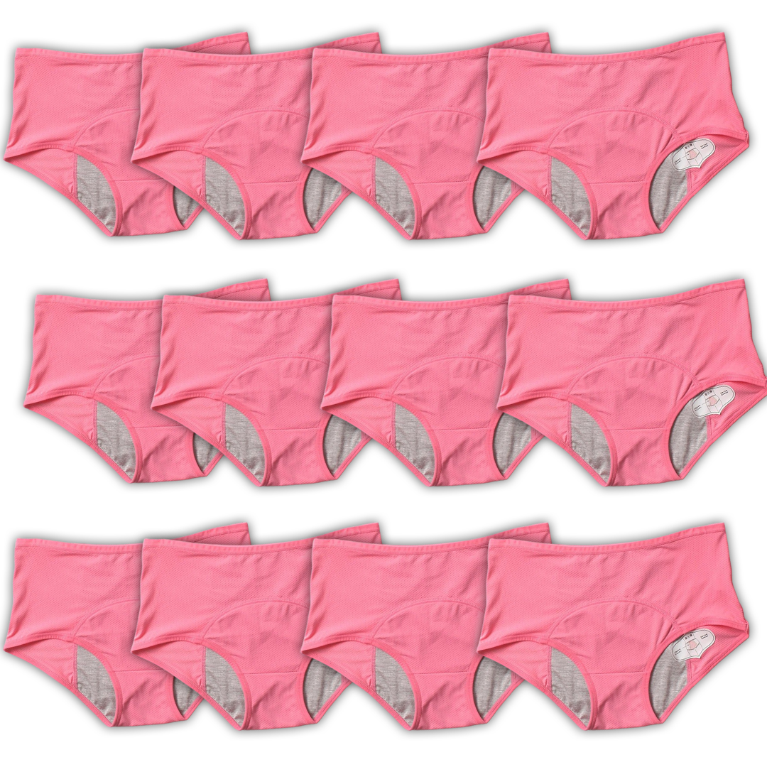 10pcs DryGuard LeakProof Undies